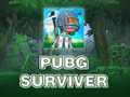 Гра PUBG Survivor  онлайн