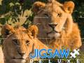 Гра Jigsaw deluxe онлайн