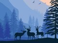 Гра Пейзажний рай прихований  онлайн