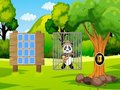 Гра Врятуйте Panda Explorer  онлайн