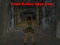 Гра Tomb Raider Відкрита Лара онлайн