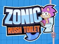 Гра Sonic Rush туалет онлайн
