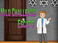 Гра Amgel Mild Challenge Escape онлайн
