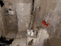 Гра Зайнятий  онлайн