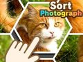 Гра Сортувати фотографію  онлайн