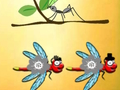 Гра Знайти Dragonfly Cooper  онлайн