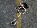 Гра Undead Highway онлайн
